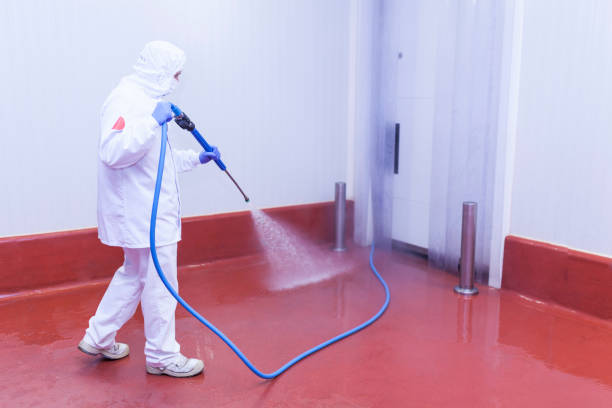 Best Paint Preparation  in Ave Maria, FL