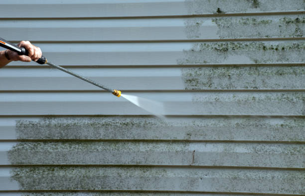 Best Fence Cleaning  in Ave Maria, FL