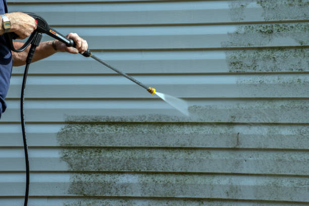 Best Sidewalk and Walkway Cleaning  in Ave Maria, FL