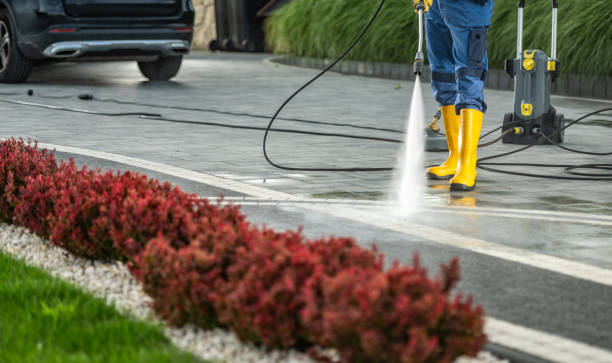 Best Driveway Pressure Washing  in Ave Maria, FL